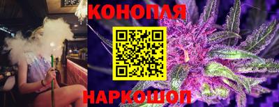 PSILOCYBIN Беслан