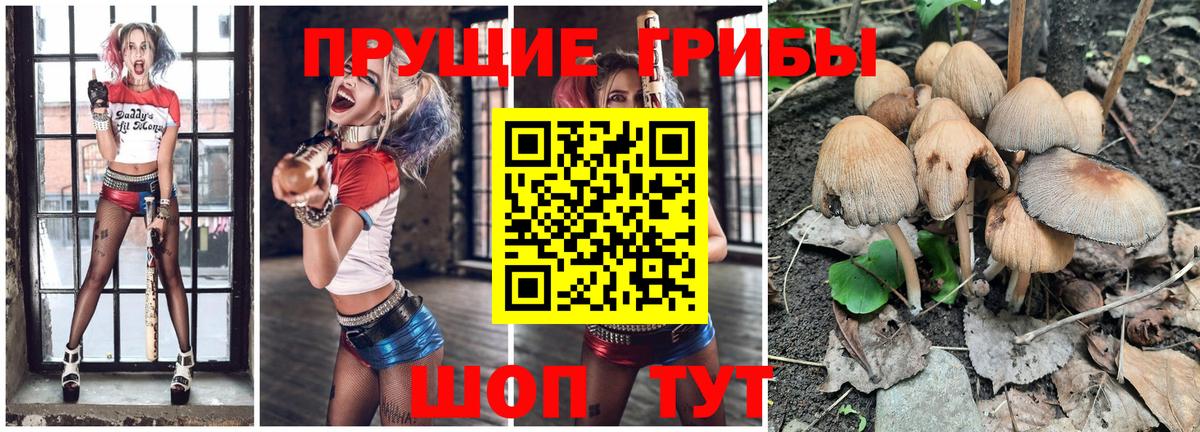 Галлюциногенные грибы прущие грибы  купить наркоту  Зерноград  Вход с VPN  Галлюциногенные грибы Magic Shrooms 