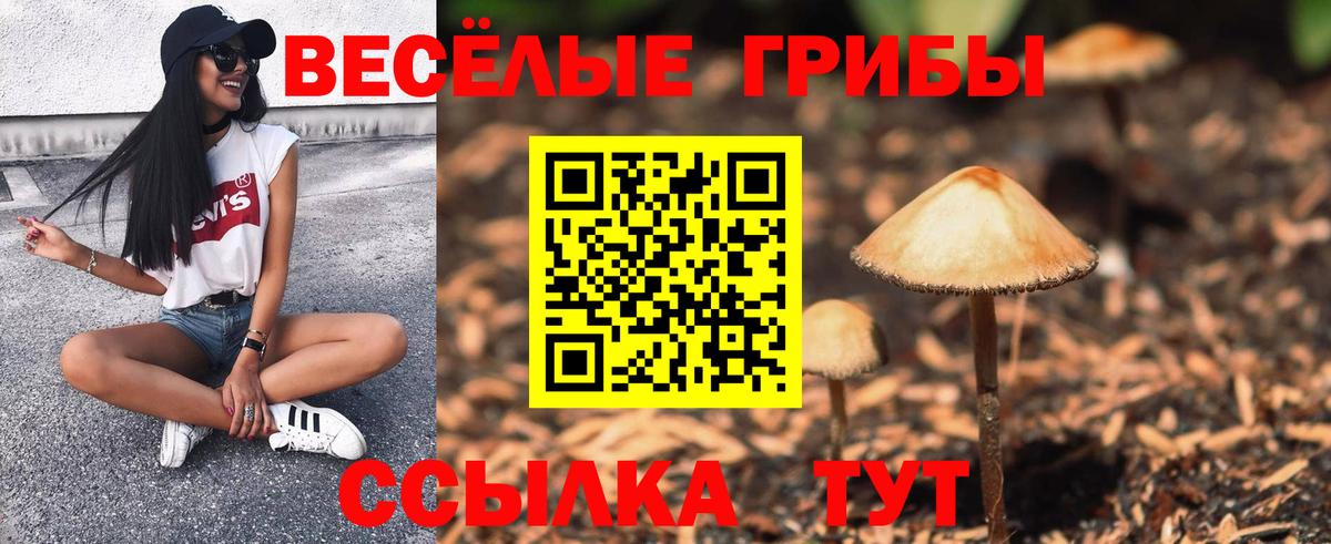 Галлюциногенные грибы ЛСД Зерноград